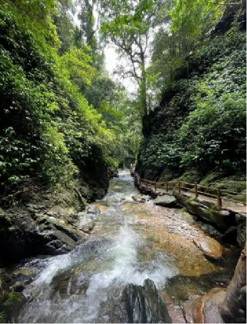 探索自然之美，盡在萬(wàn)物競(jìng)萌植物園